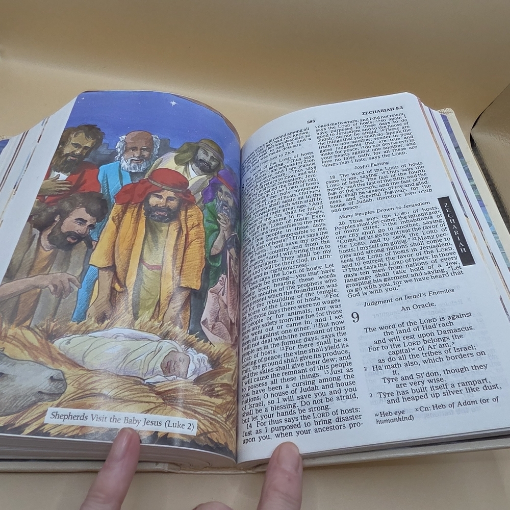 Children's Bible New Revised Standard Version with Pictures - Picture 5 of 6